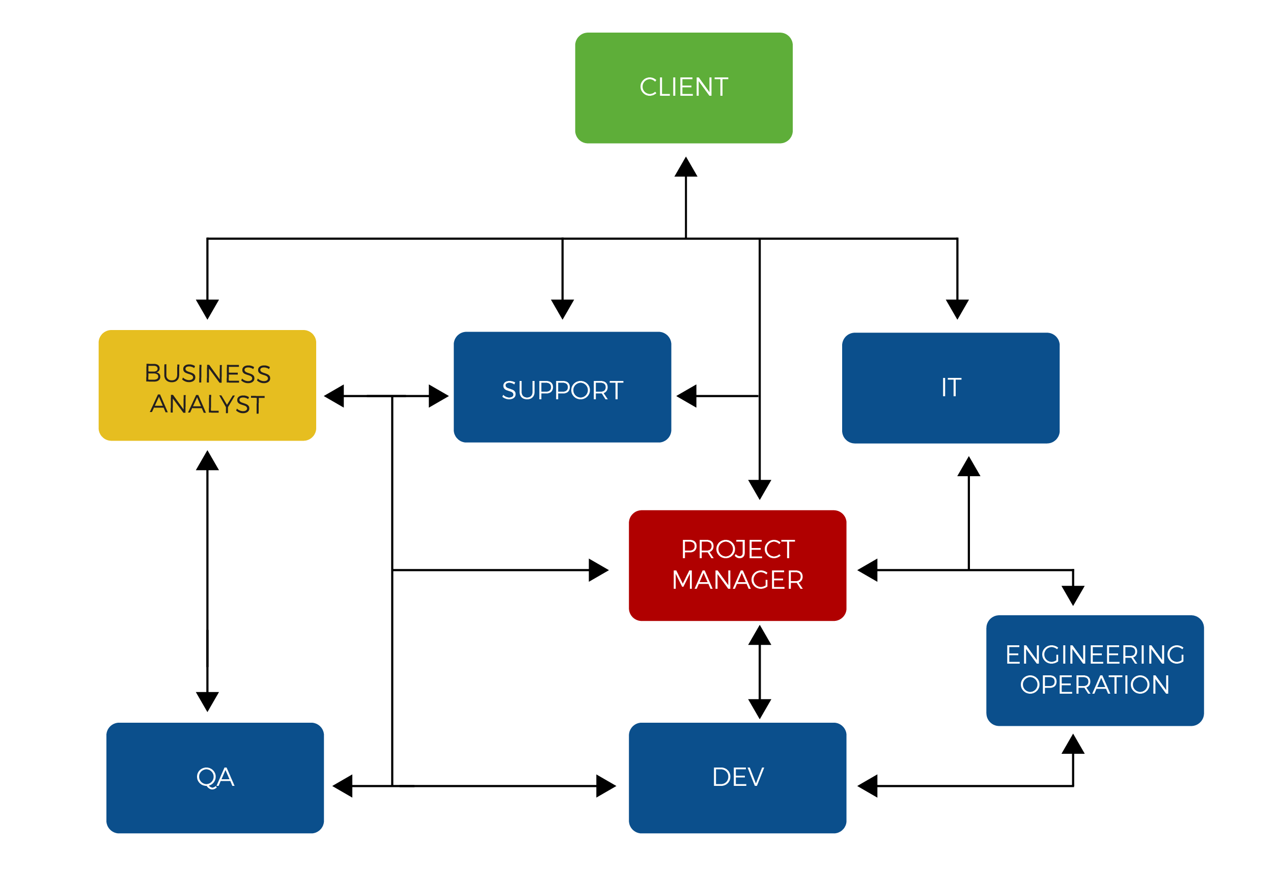 Business analyst reporting line