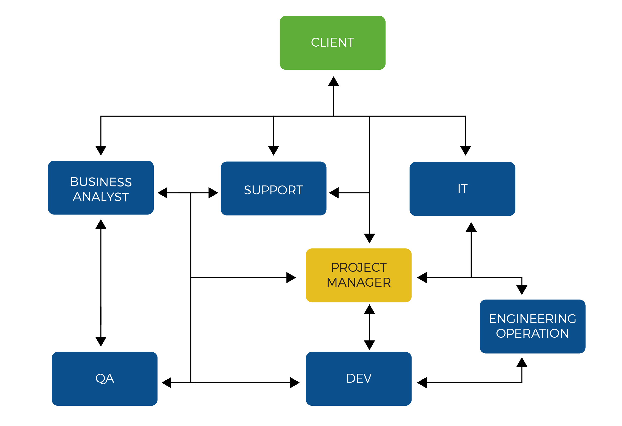 Project manager reporting line